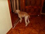     
: SDC11467.JPG
: 75
:	190.4 
ID:	3703965