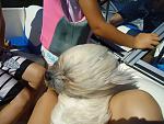     
: DSC02306.jpg
: 194
:	125.9 
ID:	3705111
