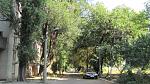     
: IMG_5924.JPG
: 58
:	182.7 
ID:	3706002