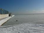     
: P1120873.JPG
: 35
:	104.6 
ID:	3710402