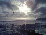     
: 01022012207.jpeg
: 124
:	55.3 
ID:	3712323