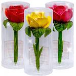     
: 1roksrozaii.jpg
: 802
:	49.9 
ID:	3714549