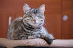     
: DSC01114.jpg
: 31
:	96.4 
ID:	3715053