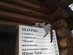    
: 16122011346.jpg
: 126
:	100.0 
ID:	3715433