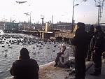     
: PICT0016.JPG
: 381
:	250.4 
ID:	3715804