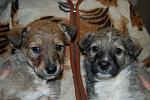    
: DSC_0022.jpg
: 31
:	135.9 
ID:	3717815