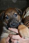     
: DSC_0029.jpg
: 24
:	75.1 
ID:	3717862