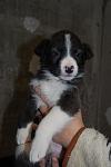     
: DSC_0041.jpg
: 26
:	54.2 
ID:	3717863
