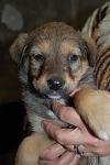     
: DSC_0027.jpg
: 26
:	72.7 
ID:	3717864