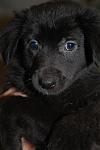     
: DSC_0034.jpg
: 30
:	66.4 
ID:	3717865