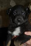     
: DSC_0025.jpg
: 25
:	54.9 
ID:	3717866