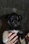     
: DSC_0049.jpg
: 17
:	54.9 
ID:	3717884