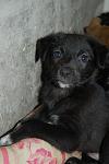     
: DSC_0060.jpg
: 16
:	74.6 
ID:	3717886