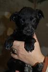     
: DSC_0046.jpg
: 17
:	45.7 
ID:	3717888