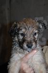     
: DSC_0057.jpg
: 18
:	65.1 
ID:	3717890