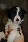     
: DSC_0043.jpg
: 19
:	49.6 
ID:	3717891