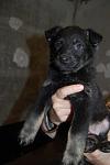     
: DSC_0077.jpg
: 18
:	57.4 
ID:	3717896