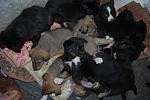     
: DSC_0083.jpg
: 39
:	125.8 
ID:	3717899