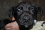     
: DSC_0076.jpg
: 28
:	76.6 
ID:	3717900