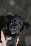     
: DSC_0082.jpg
: 26
:	64.0 
ID:	3717902