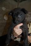     
: DSC_0071.jpg
: 17
:	52.3 
ID:	3717904