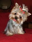     
: 507866qh6pduapr2.jpg
: 21
:	18.5 
ID:	3718826
