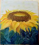     
: x_15a6ad0a.jpg
: 31
:	76.0 
ID:	3718853