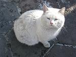     
: IMG_6056.jpg
: 85
:	119.5 
ID:	3718898