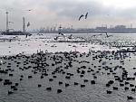     
: 03022012634.jpg
: 166
:	139.3 
ID:	3719668