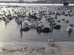     
: 03022012635.jpg
: 187
:	175.1 
ID:	3719669