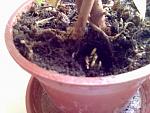     
: 03022012335.jpg
: 39
:	121.5 
ID:	3719704