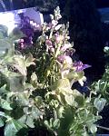     
: Фото069.jpg
: 59
:	122.2 
ID:	3719865