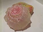     
: IMG_0351.jpg
: 29
:	60.1 
ID:	3721060
