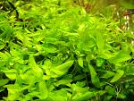     
: IMG_0102.jpg
: 30
:	164.4 
ID:	3721415