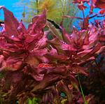     
: user4903_pic87132_1323351606.jpg
: 30
:	84.6 
ID:	3721417