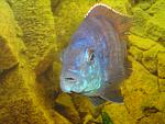     
: DSC00406.jpg
: 23
:	118.7 
ID:	3722105