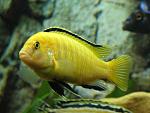     
: IMG_8787.jpg
: 17
:	104.1 
ID:	3722112