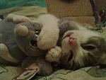     
: 030120121235.jpg
: 35
:	86.6 
ID:	3722537