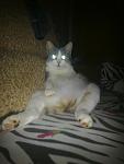     
: 270120121294.jpg
: 30
:	54.1 
ID:	3722542