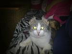    
: 270120121290.jpg
: 39
:	70.0 
ID:	3722543