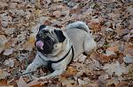     
: DSC_0343.jpg
: 67
:	160.7 
ID:	3724686