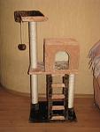     
: IMG_3890.jpg
: 54
:	75.0 
ID:	3725560