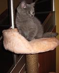     
: IMG_7238.jpg
: 55
:	84.6 
ID:	3726883