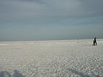    
: DSCF1886.jpg
: 75
:	109.6 
ID:	3730912
