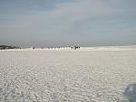     
: DSCF1887.jpg
: 68
:	116.9 
ID:	3730922
