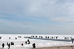     
: IMG_3067.jpg
: 76
:	86.5 
ID:	3731156