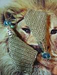     
: IMG_0059.jpg
: 12
:	138.9 
ID:	3731292