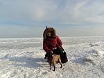     
: DSC01260.jpg
: 39
:	119.9 
ID:	3732777