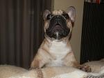     
: P2050440.jpg
: 30
:	94.2 
ID:	3733002