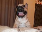     
: P2050441.jpg
: 25
:	108.7 
ID:	3733004